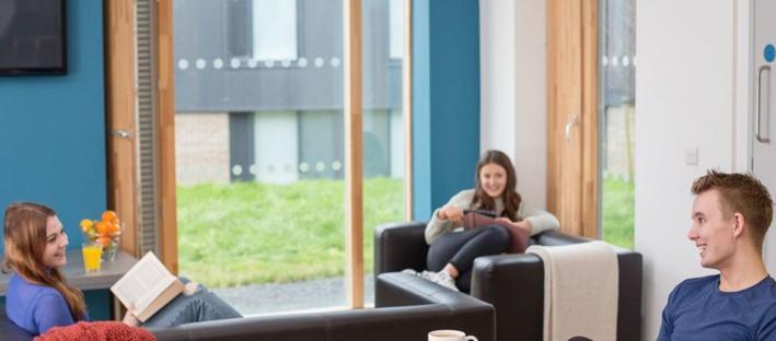 Fferm Penglais Apartments Aberystwyth Zewnętrze zdjęcie